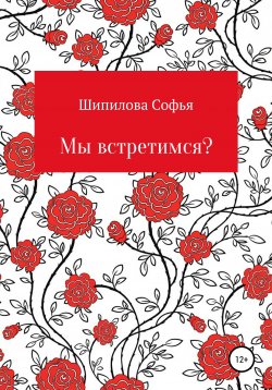 Книга "Мы встретимся?" – Софья Шипилова, 2020