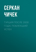 Книга "Турция после 2000 года: поблекший успех" (Серкан Чичек,, 2020)