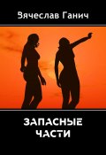 Запасные части (Вячеслав Ганич, 2020)