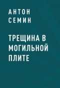 Трещина в могильной плите (Антон Семин)