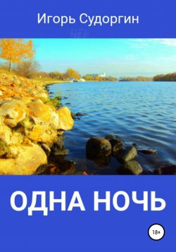 Книга "Одна ночь" – Игорь Судоргин, 2019