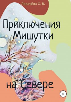 Книга "Приключения Мишутки на Севере" – Ольга Лихачёва, 2020