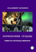 Норильские судьбы (Владимир Беляков, 2019)