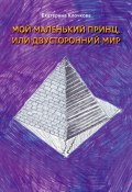 Мой маленький принц, или Двусторонний мир (Екатерина Клочкова)