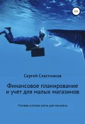 Финансовый учет и планирование для магазина (Сергей Сластников, 2021)