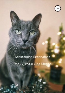 Книга "Родик, кот и Дед Мороз" – Александра Белогубова, 2020