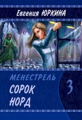 Сорок Норд. Менестрель. Книга 3 (Евгения Юркина)