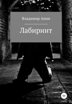 Книга "Лабиринт" – Владимир Анин, 2009