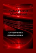 Судьбалогия отношений. Путешествие в прошлые жизни. 2-я серия. Книга 6 (Елена Царева)