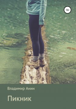 Книга "Пикник" – Владимир Анин, 2017