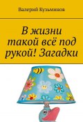 В жизни такой всё под рукой! Загадки (Валерий Кузьминов)