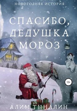 Книга "Спасибо, Дедушка Мороз!" – Алим Тыналин, 2019