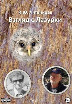 Книга "Взгляд с Лазурки. Том 1" – Игорь Литвинцев, 2021