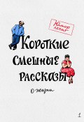 Короткие смешные рассказы о жизни (Олег Гонозов, Марат Валеев, и ещё 8 авторов, 2020)