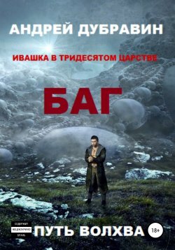 Книга "БАГ" – Андрей Дубравин, 2020