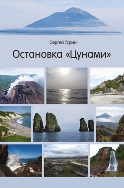 Книга "Остановка «Цунами»" – Сергей Гурин, 2019