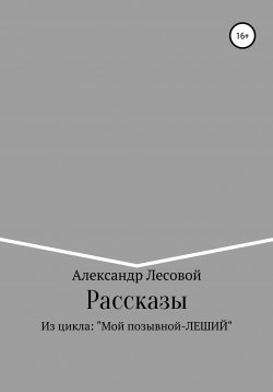 Книга "Рассказы из цикла: «Мой позывной Леший»" – Александр Лесовой, 2021