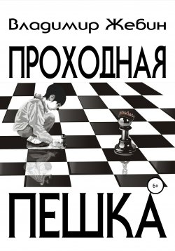 Книга "Проходная пешка" – Владимир Жебин, 2014