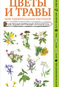 Книга "Цветы и травы. Мир удивительных растений / Наглядный карманный определитель" (Михаил Куценко, 2021)