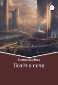 Полёт в ночи (Ирина Якубова, 2019)