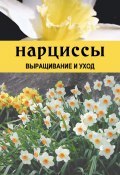 Нарциссы. Выращивание и уход (Дарья Резько, 2003)