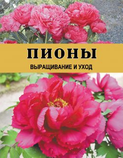 Книга "Пионы. Выращивание и уход" – Дарья Резько, 2004