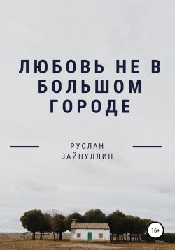 Книга "Любовь не в большом городе" – Руслан Зайнуллин, 2021