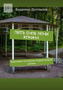 Книга "Пятый сон Мони Кокина. Зарисовки из жизни подростковой шпаны" – Владимир Долгошеев