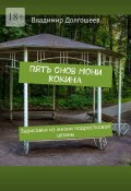 Пятый сон Мони Кокина. Зарисовки из жизни подростковой шпаны (Владимир Долгошеев)