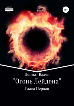 Книга "Огонь Лейдена. Глава первая" – Омар Идрисов, 2021