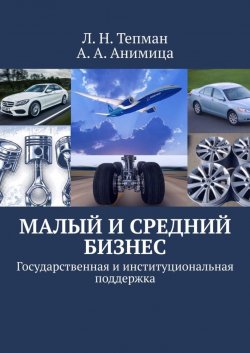 Книга "Малый и средний бизнес. Государственная и институциональная поддержка" – Л. Тепман, А. Анимица