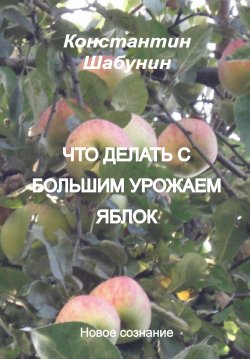 Книга "Что делать с большим урожаем яблок?" – Константин Шабунин, 2021