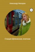 Станция Щёлковская, конечная (Александр Невзоров, 2021)