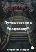 Путешествие в «подземку» (Валерия Агафонова, 2021)