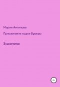 Приключения кошки Брюквы. Знакомство (Мария Илюшина, Мария Антипова, 2021)