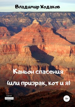 Книга "Каньон спасения, или Призрак, кот и я" – Владимир Ходаков, 2021