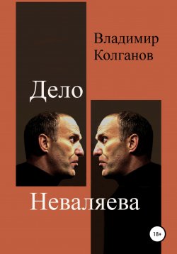 Книга "Дело Неваляева" – Владимир Колганов, 2021