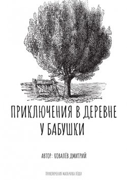 Книга "Приключения в деревне у бабушки" – Дмитрий Ковалёв