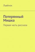 Потерянный Мишка. Первая часть рассказа (Львёнок)