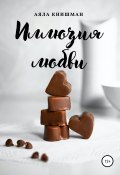 Иллюзия любви (Аяла Книшман, 2018)