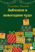 Зайчонок и новогоднее чудо (Елизавета Секисова, 2021)