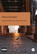 Город, в котором солнце светит только ночью (Юлиан Климович, 2017)