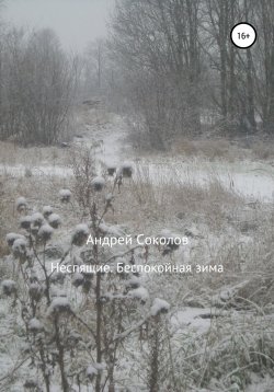 Книга "Неспящие. Беспокойная зима" {Неспящие} – Андрей Соколов, 2016