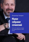 Малое собрание сочинений. Том 6. От стратегии страны до продюсирования своей жизни (Владимир Токарев)