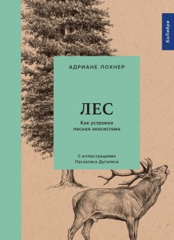 Книга "Лес. Как устроена лесная экосистема" – Адриане Лохнер, 2019