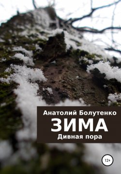 Книга "Зима. Дивная пора" – Анатолий Болутенко, 2021