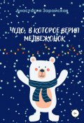 Чудо, в которое верил медвежонок (Анастасия Зарайская, 2021)