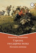 Стрелец государева полка: Посланец воеводы (Владимир Андриенко, 2009)