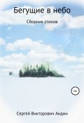 Бегущие в небо (Сергей Андин, 2021)