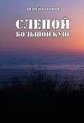 Книга "Слепой. Большой куш" (Андрей Воронин, 2005)